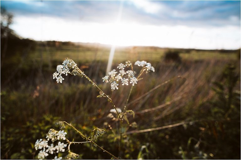 Engagement Shoot Sunset Topsham Devon Rockrose Photography